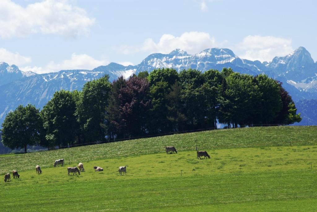 Landhaus Grobert Seeg Esterno foto