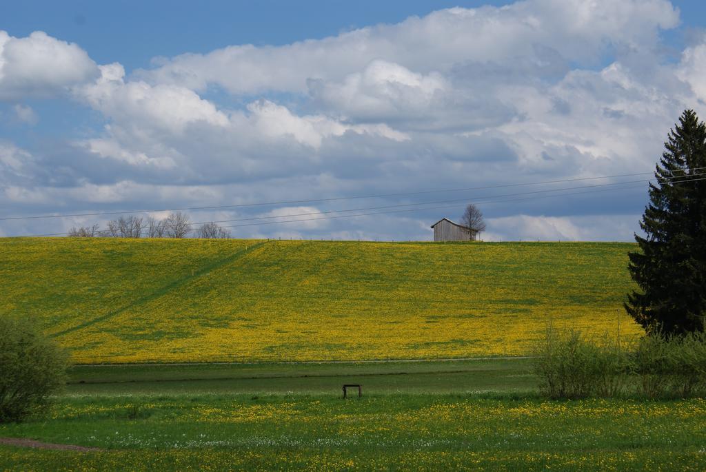 Landhaus Grobert Seeg Esterno foto